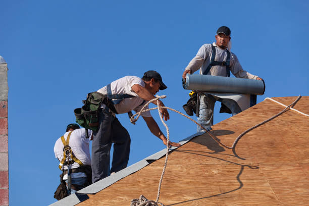 Best Residential Roof Replacement  in Riverside, IA
